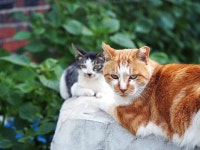 빌드업을 예의 주시한 날.jpg - DVDPrime