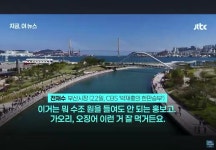 전재수 시장. 상어 부캉이 이뻐 죽겠다. - DVDPrime 시사정치 게시판