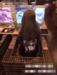 PC방의 어느 소녀.gif - NBA Mania
