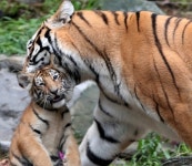 당구장서 마주한 진짜 공포 - MANIA