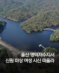 이번엔 울산인가? - 매니아 커뮤니티 Free-Talk 게시판