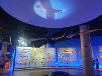 국립해양생물전시관 왔는데 - 세리에매니아