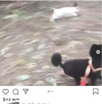 무개념 견주.JGP - 세리에매니아