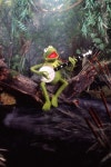 Rainbow Connection < The Muppet Movie > 중에서 - 연주영상 | 마피아 Rainbow Connection < The Muppet Movie > 중에서  - 연주영상... 