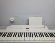 커뮤니티 > 피아노 인증