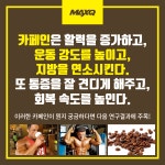 카페인은 만병통치약? 카페인에 관한 모든 것을 파헤치다 < HEALTH < 기사본문 - 맥스큐 카페인은 만병통치약? 카페인에 관한 모든 것을 파헤치다