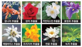 민감한 피부, 어떻게 관리하면 좋을까? < NEWS&TREND < 기사본문 - 맥스큐 민감한 피부, 어떻게 관리하면 좋을까?