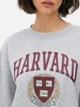 Womens Gray Heather Harvard Graphic Sweatshirt | Primark Harvard Graphic Sweatshirt