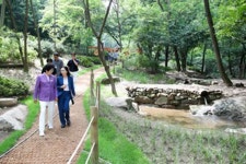 설봉공원 생태숲길에서 힐링하세요 이천시, 월전미술관-설봉서원 잇는 생태숲길 조성
