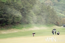 [mhn포토] 송화 가루가 날리는 18번홀 < 포토뉴스 < 골프 < 스포츠... MHN / 엠에이치앤 [mhn포토] 송화 가루가 날리는 18번홀 - MHN / 엠에이치앤