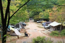 문체부 선정, 전국 공공 우수 야영장 20곳 공개 < 여행/레저 < 생활... 문체부 선정, 전국 공공 우수 야영장 20곳 공개 - MHN / 엠에이치앤