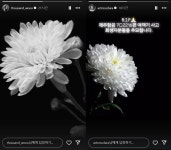 천우희→잔나비 최정훈...제주항공 여객기 참사 추모 물결ing < 연예가화제 < 연예 < 기사본문 - MHN / 엠에이치앤 천우희→잔나비 최정훈...... 