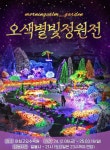 [주말 갈만한곳] 태백 설경부터 가평 빛의 축제까지...놓칠 수 없는... 갈만한곳] 태백 설경부터 가평 빛의 축제까지...놓칠 수 없는 겨울 축제... 