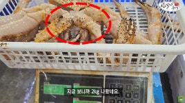 킹크랩 신종 사기 주의... 수산시장 킹크랩 신종 얼음 치기 수법 논란... 모두서치 킹크랩 신종 사기 주의... 수산시장 킹크랩 신종 얼음 치기... 