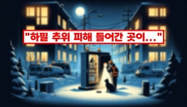 하필 추위 피해 들어간 곳이... 울산 송정동 상가 건물 옥상 변전실 들어간 고양이 감전돼 3700세대 1시간 정전 < 사회 < 뉴스 < 기사본문... 