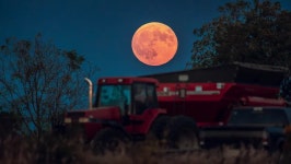Articles by Joe Rao, Skywatching Columnist | Space
