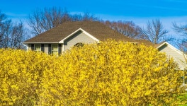 Gardening tasks to complete in March | Flipboard Gardening tasks to complete in March 