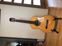 클래식기타 팝니다 | 중고악기 뮬