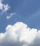 [판/교] 그레치 Gretsch G6119 Tennessee Rose 판매합니다! | 중고악기 뮬