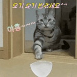 요기 요기 밥주세요^^ | 중고악기 뮬