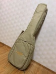 그레치 기타 Gretsch g9521, g9500 jim dandy, g9126 A.C.E 판매 합니다. | 중고악기 뮬