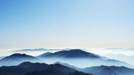 안구 정화하시고 편히 쉬세요 | 중고악기 뮬