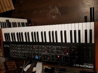 프로펫 Prophet rev2 8voice 판매합니다 | 중고악기 뮬