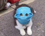 사는게. 녹녹치않아요 | 중고악기 뮬