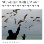울산엔 지하철이 없다고? 그럼 뭐 타고 다녀? | 중고악기 뮬