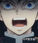 비비킹님에게 질문 | 중고악기 뮬