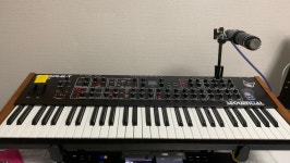 Dave Smith / Sequential Prophet Rev2 16보이스 / 프로펫 레브2 팝니다 (DSI, 데이브스미스) | 중고악기 뮬