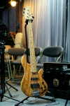 Lakland 5594 deluxe 메이플지판 | 중고악기 뮬