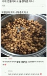 너네 깐돌이라고 불량식품 아냐 | 중고악기 뮬