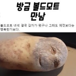 방금 볼드모트 만남 | 중고악기 뮬