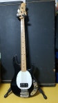 1983년1월식Musicman Stingray 뮤직맨스팅레이 | 중고악기 뮬