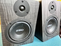 ESIO nEar05 classic2 니어05클래식2 | 중고악기 뮬