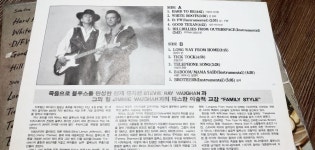 형제는용감햇닭 | 형제는 용감 했데이 '스티비 레이본 ' | 중고악기 뮬