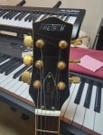 (레어 매물) 그레치 GRETSCH G5570 ELECTROMATIC ELLIOT EASTON CADILLAC GREEN 판매합니다. | 중고악기 뮬