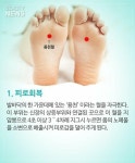 건강을 위한 발마사지 효능 | 중고악기 뮬