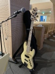 Atelier Z M265 Custom 스페셜컬러 5현 아틀리에 민트급 | 중고악기 뮬