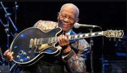 비비킹 루씰(B.B. King Lucille) 팝니다 | 중고악기 뮬
