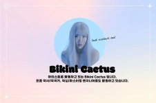 ["현직" 엔터소속 총괄 디렉터] 모든 걸 알려주는 1:1 집중 미디레슨! | 중고악기 뮬 [