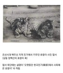 조선시대의 애완동물 | 중고악기 뮬