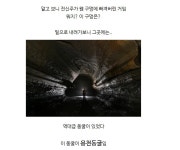 전신주 교체하다 발견한 역대급 동굴과 희귀 물고기 | 중고악기 뮬