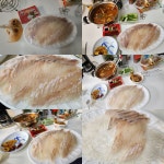 광어와우럭회 ... | 중고악기 뮬