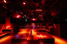 신사역 3번출구 도보 3분거리 잭리빈 클럽 (동시수용 1천명) | 중고악기 뮬