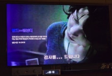 랜드 오브 플랜티 | 중고악기 뮬