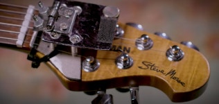 스티브 모스의 뮤트 장치를 찾아보았습니다 | 중고악기 뮬