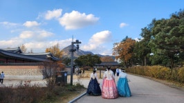 일욜 오후 종로.인사동.경복궁.광화문을 돌아다녀봅니다. | 중고악기 뮬
