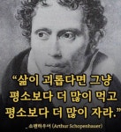 철학자의 삶의 지혜 엿보기.. | 중고악기 뮬